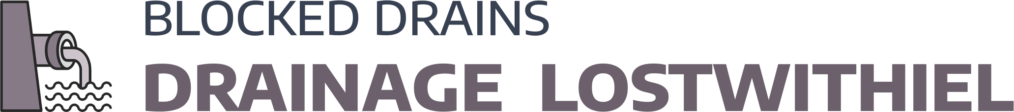 website logo